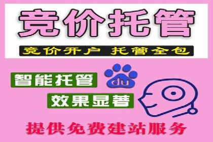 SEM营销案例解析：品牌增长之道